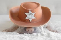 Shar Pei perro con un sombrero de vaquero con una placa de sheriff adjunto - foto de stock