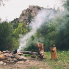 Malerischen Blick auf Lagerfeuer im Wald, los padres National Forest, Lockwood, Kalifornien, Amerika, Vereinigte Staaten — Stockfoto
