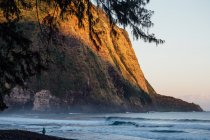 Homem andando ao longo da praia, vale Waipio, Kukuihaele, Hamakua, Havaí, América, Estados Unidos da América — Fotografia de Stock