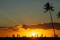 Silhueta de pessoas, na praia ao pôr do sol, Honolulu, Havaí, América, EUA — Fotografia de Stock