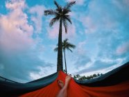Immagine ritagliata della donna che si distende in un hammock, Oahu, Honolulu, Hawaii, America, S.U.A. — Foto stock