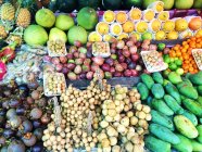 Visão de perto de diferentes frutas em um mercado — Fotografia de Stock
