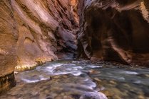 Scenic view of The Narrows, Zion National Park, Utah, America, USA — Stock Photo