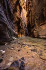 Scenic view of Wall street section in The Narrows, Zion National Park, Utah, America, USA — Stock Photo