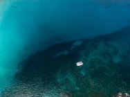 Живописный вид катамарана, стоящего на якоре в заливе Ваймеа, Гавайи, Америка, США — стоковое фото