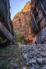 Atravessava o rio, The Narrows, Parque Nacional de Zion, em Utah, América, Estados Unidos da América — Fotografia de Stock