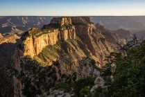 Scenic view of Wotans Throne, Grand Canyon North Rim, Arizona, America, USA — Stock Photo