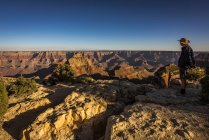 RELEASE Man standing at Cape Royal looking at Grand Canyon, Arizona, America, USA — Fotografia de Stock