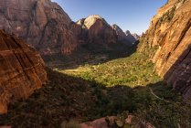 Vue panoramique du canyon de Zion depuis le sentier West Rim, parc national de Zion, Utah, Amérique, États-Unis — Photo de stock