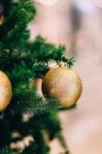Різдвяна ялинка з прикрасами на розмитому фоні, крупним планом — стокове фото