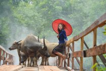 Mulher asiática vestindo cultura tailandesa tradicional, estilo vintage — Fotografia de Stock