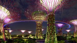 Vista notturna del boschetto di Supertree ai giardini vicino alla baia, Singapor — Foto stock