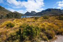 Scenic view of Cradle Mountain in the Cradle Mountain-Lake St Clair National Park, Central Highlands Region of Tasmania, Australia — Stock Photo