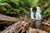 Vista panoramica delle cascate di Hogarth nel Parco dei Popoli, Strahan, Tasmania, Australi — Foto stock