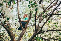 Menino escalando uma macieira na natureza — Fotografia de Stock