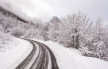 Scenic view of Road to Puerto Usaide through snowy landscape, Lizarraga, Navarra, Spain — Stock Photo