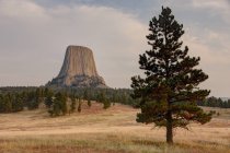 Malerischer Blick auf Teufelsturm Nationaldenkmal von Freudnergrat aus gesehen, Wyoming, Amerika, USA — Stockfoto