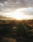 Мальовничим видом сільського пейзажу на сході сонця, Тоскана, Італія — стокове фото
