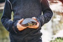 Imagen recortada o niño sosteniendo una tortuga en las manos - foto de stock