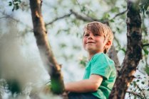 Retrato de um menino sentado em uma macieira — Fotografia de Stock