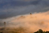 Vista panorâmica da Névoa sobre as montanhas, Tailândia — Fotografia de Stock