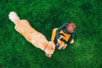 Visão aérea de um menino sentado na grama com uma bola brincando com seu cão golden retriever — Fotografia de Stock