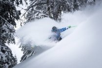 Sciare uomo sulla neve fresca, Zauchensee, Salisburgo, Austria — Foto stock