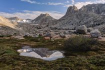 Mount McAdie Reflexión en una tarn, Parque Nacional Sequoia, California, América, EE.UU. - foto de stock
