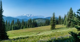 Vista panorámica del paisaje de montaña, Manning Park, Columbia Británica, Canadá - foto de stock