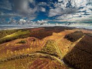Vista aérea del paisaje, Irlanda del Norte, Reino Unido - foto de stock