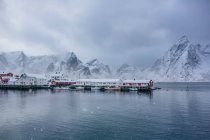 Aussichtsreiche Aussicht auf Rotbuer und Berglandschaft, Lofoten, Nordland, Norwegen — Stockfoto