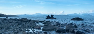 Driftwood na praia rochosa, Ilha Quadra, Columbia, Canadá — Fotografia de Stock