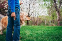 Garçon debout dans le jardin avec son chien golden retriever — Photo de stock