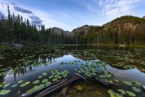 Vista panorámica del lago Nymph, Parque Nacional de las Montañas Rocosas, Colorado, América, EE.UU. - foto de stock