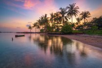 Malerischer Blick auf Palmen am Strand, pulau batam, batam Stadt, riau Inseln, Indonesien — Stockfoto