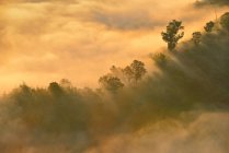 Malerischer Blick auf Nebel über Berge, Thailand — Stockfoto