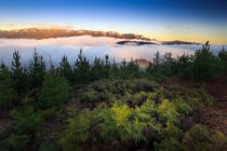 Мальовничий вид на гори Буффало, Юм, Вікторія, Австралія — стокове фото