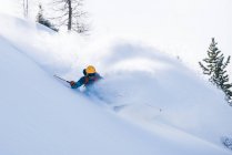 Человек катается на лыжах в порошковом снегу, Sportgastein, Бад-Гаштайн, Зальцбург, Австрия — стоковое фото
