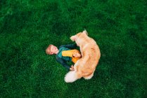 Вид сверху на мальчика, лежащего на траве и играющего со своей золотой собакой-ретривером — стоковое фото