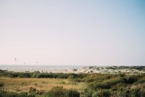 Fernsicht auf einen Strand, ijmuiden, holland — Stockfoto
