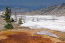 Vista panoramica su Mammoth Hot Springs, Yellowstone National Park, Wyoming, America, Stati Uniti d'America — Foto stock