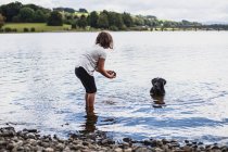 Девушка играет со своей собакой-лабрадором в озере — стоковое фото