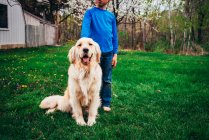 Giovane ragazzo che gioca con cane golden retriever al di fuori nell'erba — Foto stock