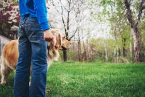 Хлопчик стоїть в саду зі своїм золотим собакою-ретривером — стокове фото