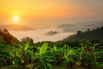 Scenic view of sun over mountain mist in sunrise,mist on sunrise,mist over mountain during sunrise — Stock Photo