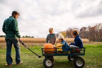 Drei Kinder auf einem Planwagen mit Kürbissen in einem Kürbisfeld — Stockfoto