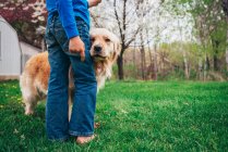Мальчик играет с золотой собакой-ретривером в траве — стоковое фото
