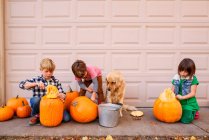 Three kids and a dog carving pumpkins — Stock Photo