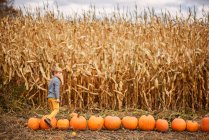 Young boy playing in front of a cornfield — Stock Photo