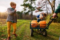 Tre bambini che cavalcano su un carro con le zucche in un campo di zucca — Foto stock